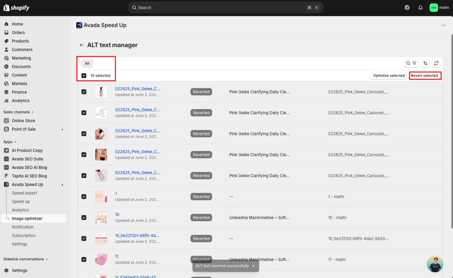 alt-text-optimizer screenshot 4