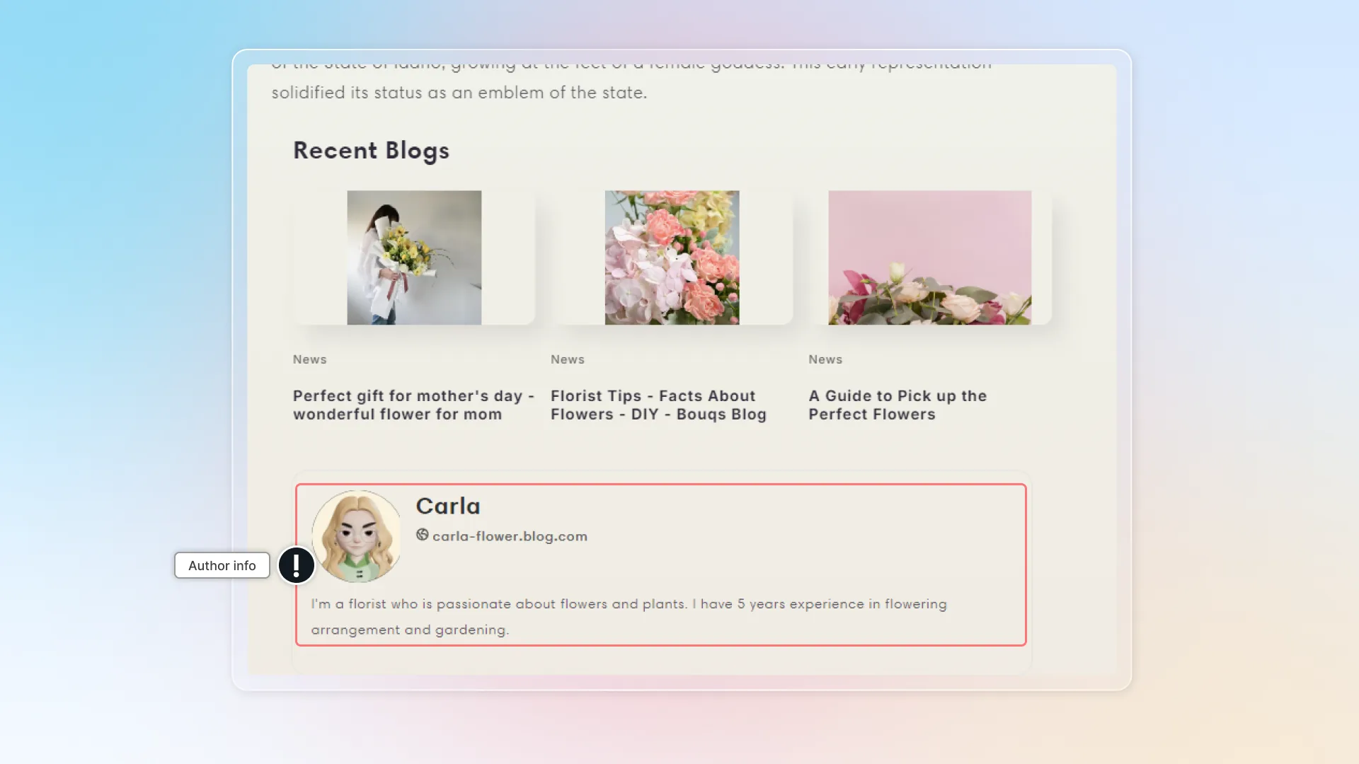 Author info in blog