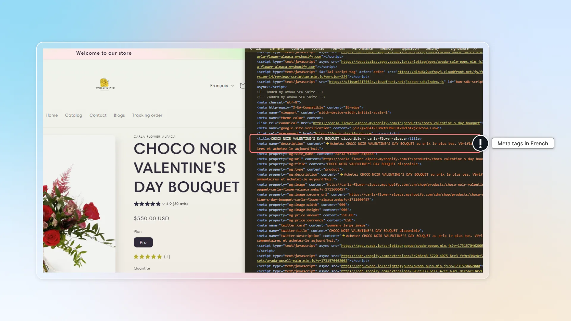 Meta tags in French
